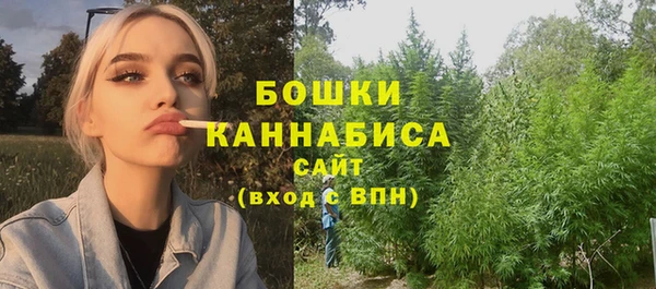 прущая мука Инсар