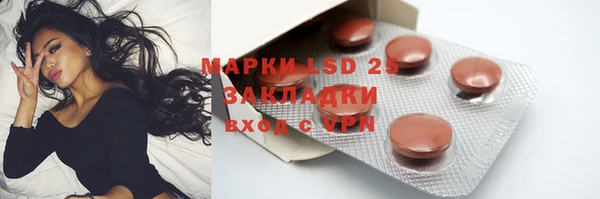 прущая мука Инсар