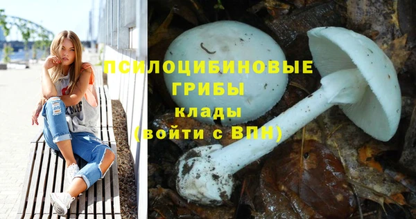 молекула духа Иннополис