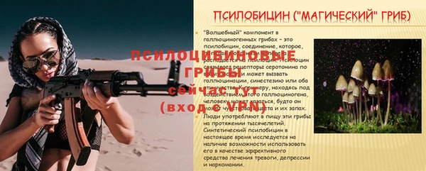 молекула духа Иннополис