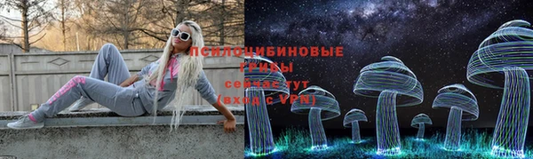 молекула духа Иннополис