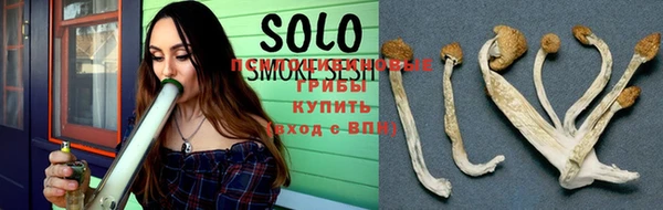 прущая мука Инсар