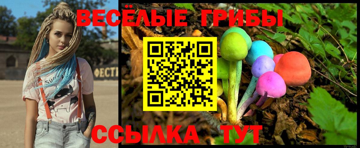 закладка  Галлюциногенные грибы Psilocybe  Вход с VPN  Домодедово 