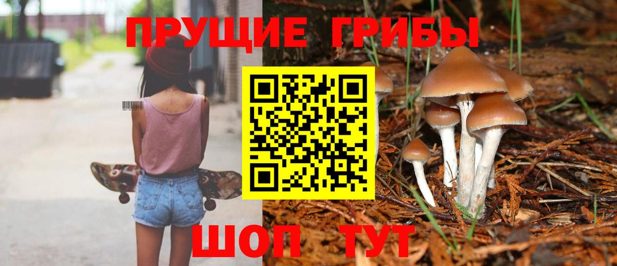 Псилоцибиновые грибы GOLDEN TEACHER  Домодедово 